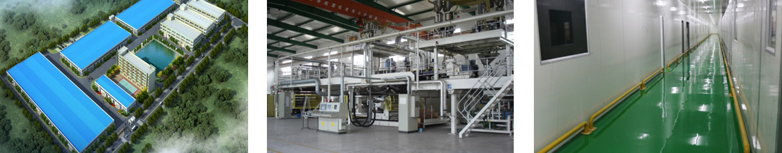 Company Profile